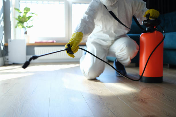 Reliable Blood Cleanup contractor in Aurora, TX by Trauma Clean Pros